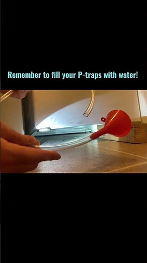 Friendly Reminder: Remember to fill your P-traps! #DIY #howto