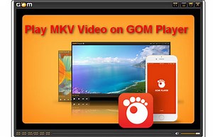 Top 5 free mkv video players