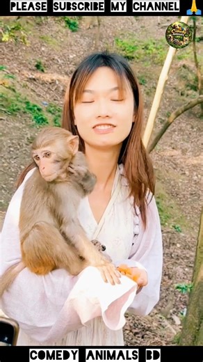 The Secret Reason Funny Monkey Shorts Are So Addictive #funny #monkey #animals #shorts #video