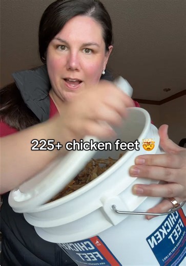 Benefits of Chicken Feet for Dog Health