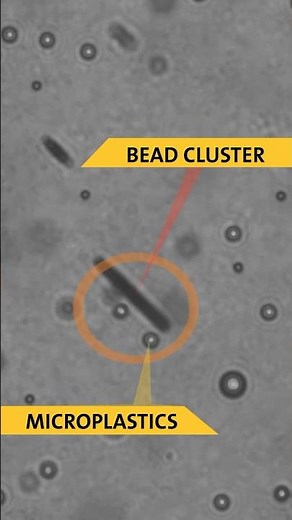 Water-cleaning beads grab microplastics and bacteria | Headline Science