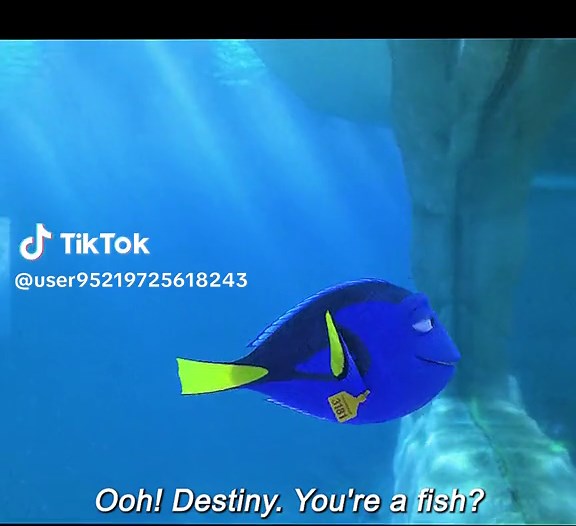 Finding Dory: Reunion with Destiny
