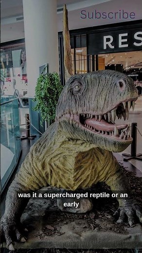 The Predator Before the Dinosaurs: Meet the Dimetrodon!