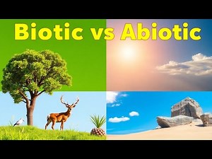 Biotic & Abiotic Components Explained | Easy Science for Students #science #ecosystem #biology