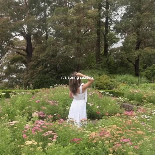 Embrace the Joy of Spring Season with Vibrant Flowers