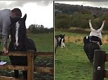 Man mounts bareback horse before being bucked off