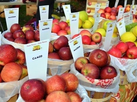 5 Fun Things To Do This Weekend In Bucks County