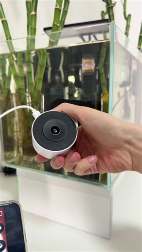 Enhance Your Aquarium with This Innovative Camera