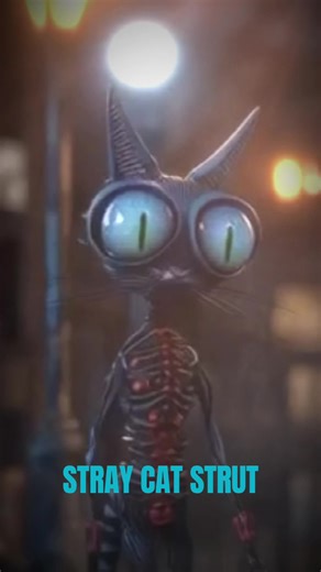 #straycatstrut #straycats