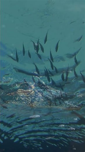 World Water Day 2026