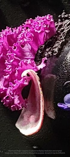 Galaxy S21 Ultra: How to use High Resolution (108MP) | Samsung