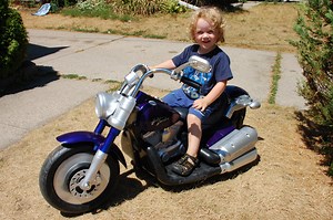 Polychromatic Harley Deluxe