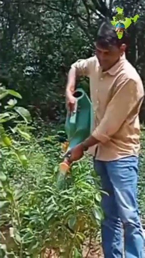 2 Crore Trees… 30 Years… and a Silent Message 🌍 | Tree Man of India