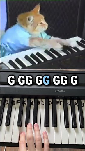How to play Keyboard Cat in 30 seconds!