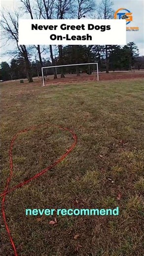 This Simple Rule Solves 90% of Dog Problems #dogtraining #shorts