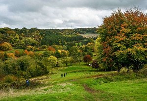 Abandoned golf course transformed into 123-acre wildlife haven