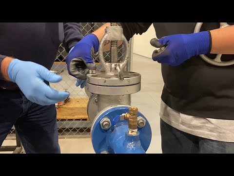 Blue Checking a Globe Valve