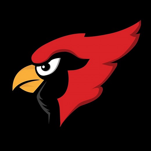 Hibbing Men's Basketball • Home