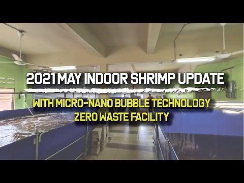 2021 May Indoor Biofloc Updates | MicroNano-Bubble Generators | Zero Waste Facility