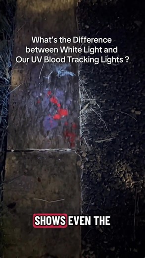 🔦 I0D0 Blood Tracking Flashlight – See What Others Can’t! 🌙 Engineered for precision and built for adventure, the I0D0 Flashlight reveals blood trails and hidden traces even in complete darkness. 🦌 Perfect for hunters tracking game, campers exploring the wild, and pet owners or farmers locating injured animals. 🐾 With its specialized wavelength, high-lumen beam, and rugged waterproof design, this flashlight is trusted for search & rescue missions and emergency use. 🚨 Compact, rechargeable, 
