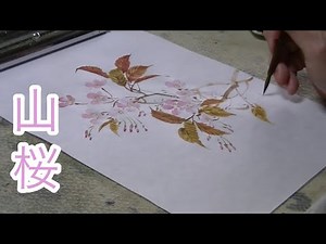 桜の描き方【山桜】