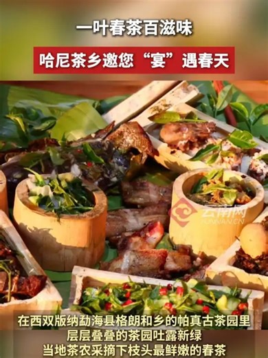 一叶春茶百滋味，哈尼茶乡邀您“宴”遇春天！_腾讯新闻