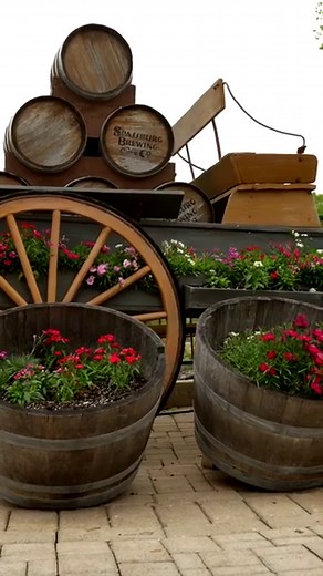 30K views · 276 reactions | The party has just begun... | Six Flags Fiesta Texas | Facebook