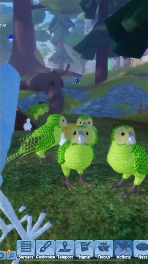 Kākāpō Family | Feather Family