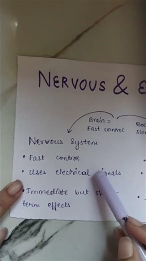 Nervous System vs Endocrine System | Fast vs Slow Control (35s Biology)