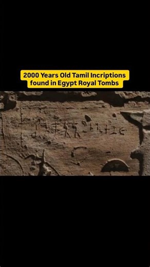 Old Tamil Inscriptions found in Egypt #tamil #tamilinscription #oldtamil #ancientegypt #trending