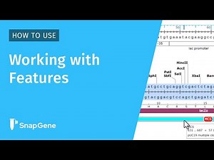 Working with Features in SnapGene