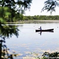 Dane County to buy 81 acres along Upper Yahara River