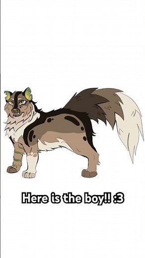 #jar_warrior Warrior cats pause oc challenge— Moss that Clings to Fallen Tree! Credit to ‪@jaryke‬
