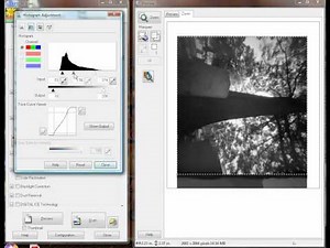 Epson Scan B&W negative basics