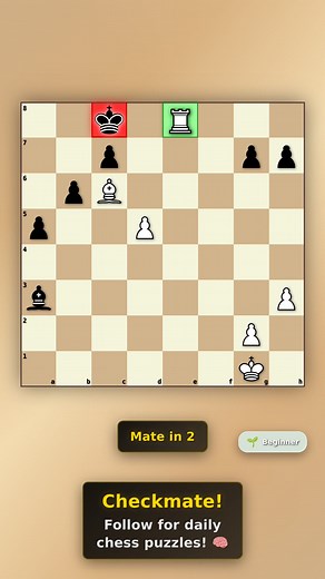 Mate in 2! 里 Difficulty: Beginner Can you solve it faster than the countdown? #endgame #mate #matein2 #short #chess #puzzle #tactics #lichess #chess #puzzle #lichess | ChessPuzz | Facebook
