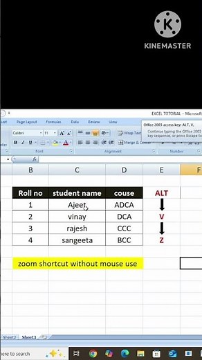ZOOM WITHOUT MOUSE| माउस के प्रयोग के बिना data को zoom कैसे करें?