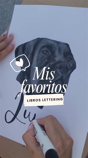 4 libros para iniciarse en el Lettering y la rotulación ✨💫 Perfectos para principiantes y amantes de la calma 🖌️💖 #bookart #lettering #bookrecommendation #arttips #artbeginner