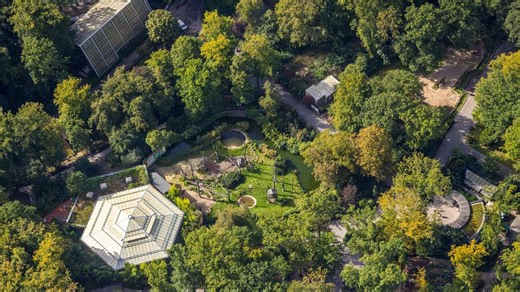 Zoo Dortmund hat neue Tierart: „Lohnt sich, genauer hinzuschauen“