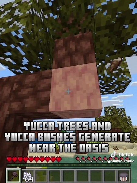 Oasis and New Mobs! Minecraft Wild Expansion Add-On