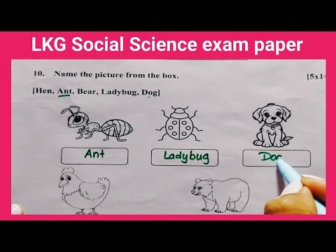 Social science exam paper LKG | LKG science exam paper | science exam paper of LKG | Eng Teach