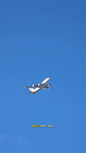 Why Airplane Wings Are Swept Back Explained