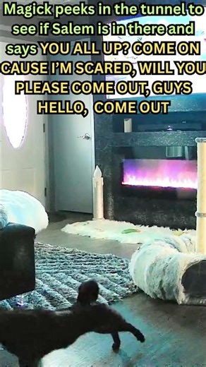 Magick says YOU ALL UP? I'M SCARED & MORE