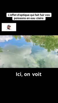 Une illusion d'optique fascinante qui peut saboter toute une sortie de pêche ! L'incidence de la lumière et de la bannière crée un angle trompeur pour la ligne, donnant l'impression qu'elle dévie. Les poissons, très sensibles à cette apparence inhabituelle dans l'eau claire, interprètent cela comme un signal de danger et s'enfuient immédiatement. Observez bien la trajectoire du fil : l'effet est bien plus prononcé qu'on ne l'imagine. Une leçon cruciale sur la réfraction à ne pas ignorer ! #Pêche