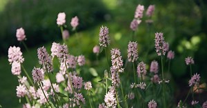 Het Park of Dutch Dreams in Doetinchem