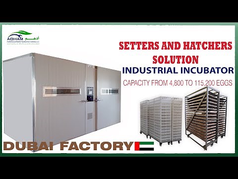 Industrial Incubator Setter and Hatcher | Capacity from 4,800 to 115,200 eggs