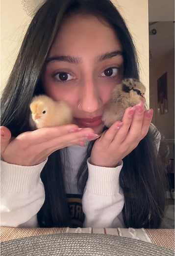 i have an addiction #chicks #tsc