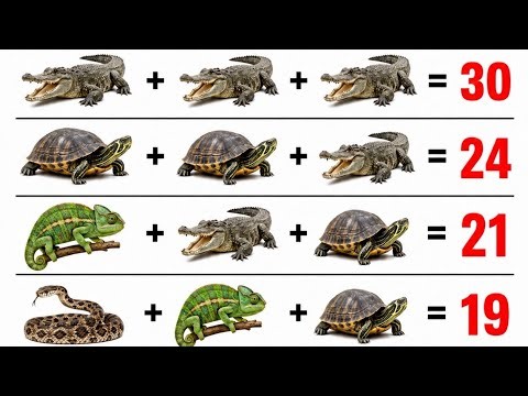 Only 1% Can Solve This Reptile IQ Puzzle!