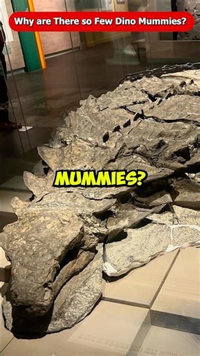 Why Are There So Few Dinosaur Mummies? Jurassic World Rebirth #Shorts