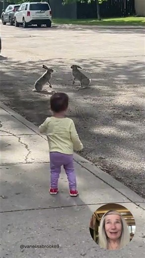 Baby's First Rabbit Boxing Match #wildlife #cute
