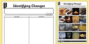 Differentiated Identifying Changes Worksheet